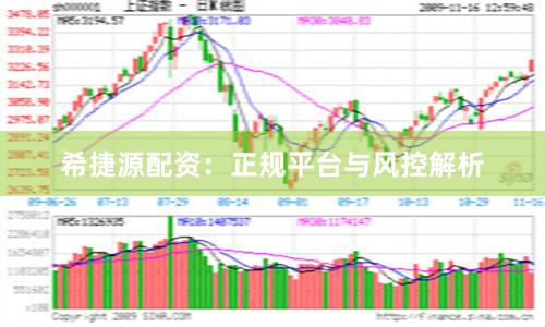 希捷源配资：正规平台与风控解析