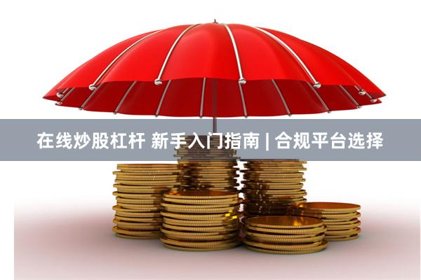 在线炒股杠杆 新手入门指南 | 合规平台选择